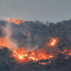 goa-news-forest-fire