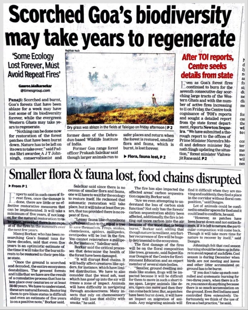 goanews-toi-press-cutting